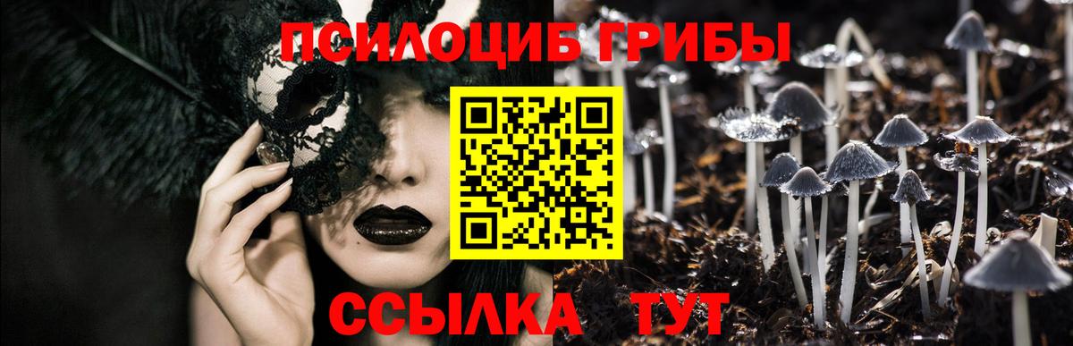 Калуга  Псилоцибиновые грибы GOLDEN TEACHER  Вход с VPN  Галлюциногенные грибы Cubensis 